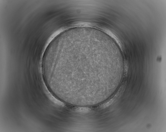 X0000101121090200807241153