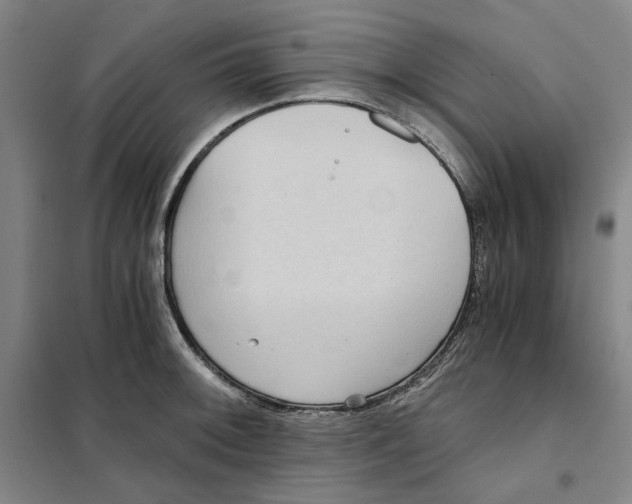 X0000101121092200807241153