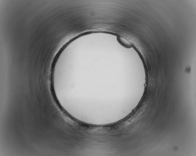 X0000101121093200807241153