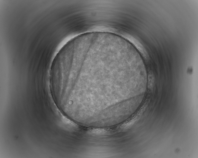 X0000101121094200807241153