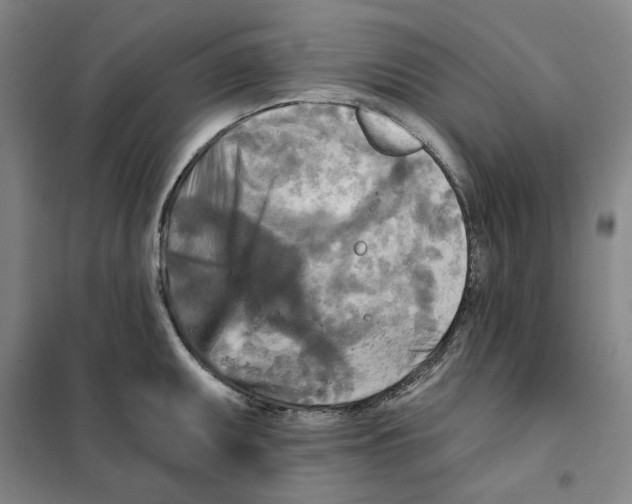 X0000101121095200807241153