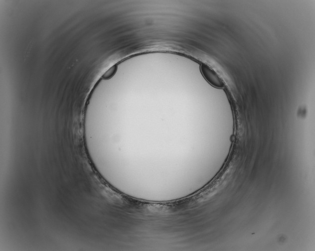 X0000101121097200807241153