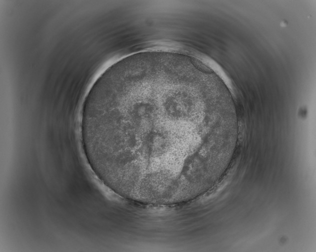 X0000101121099200807241153