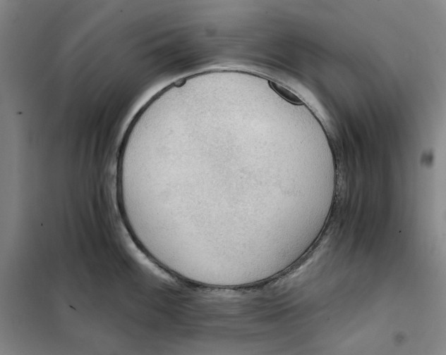 X0000101121100200807241153