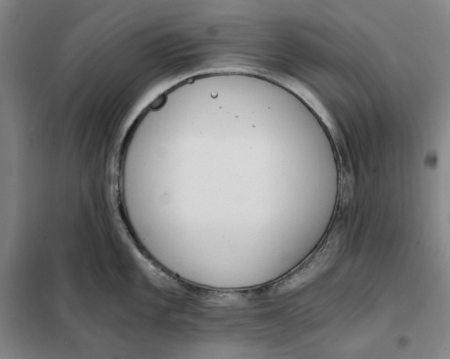X0000101121101200807241153