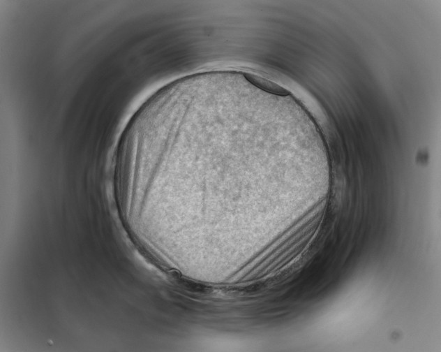 X0000101121102200807241153