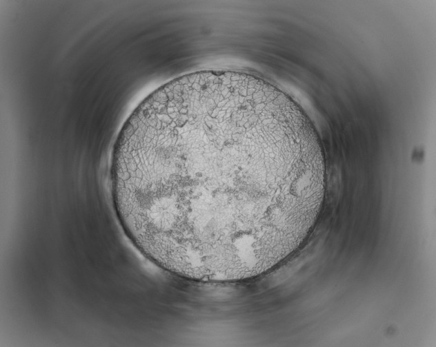 X0000101121103200807241153