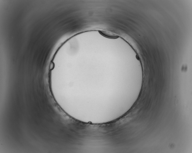 X0000101121104200807241153