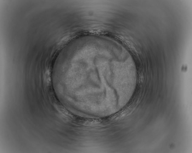 X0000101121106200807241152