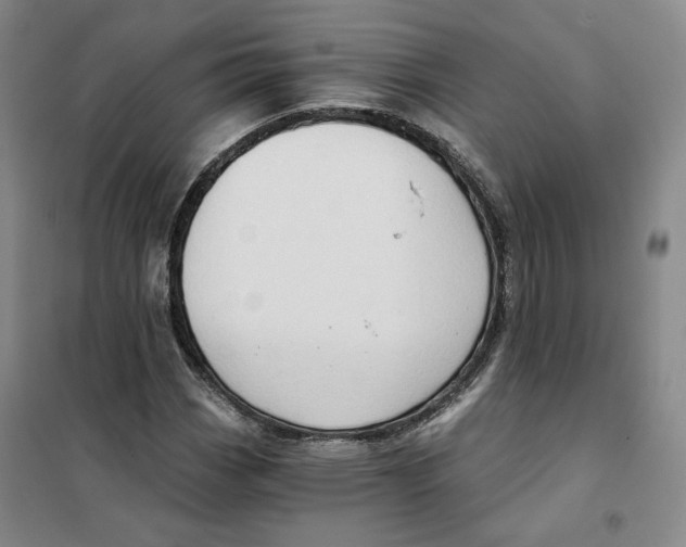 X0000101121113200807241152