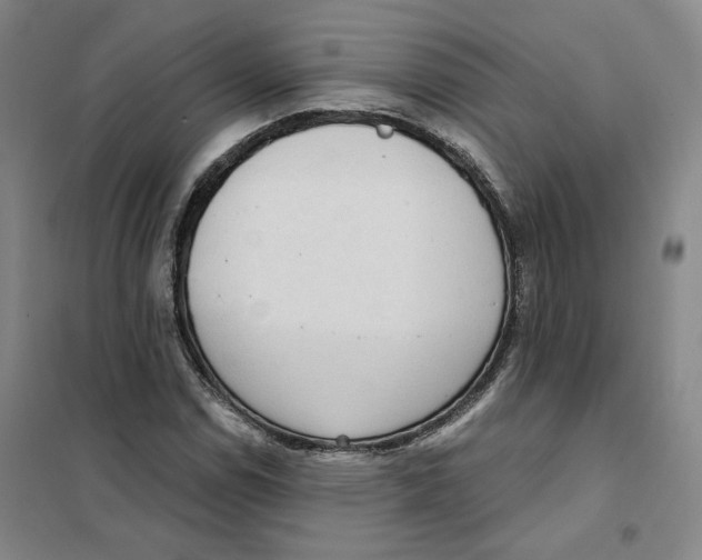X0000101121114200807241152