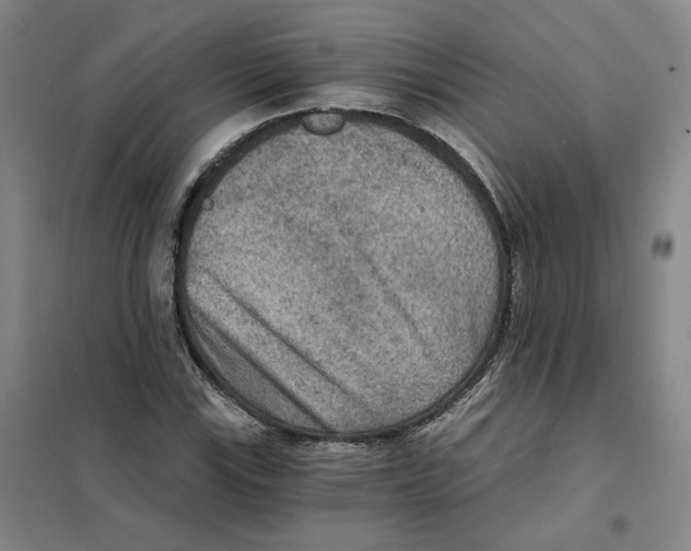 X0000101121115200807241152