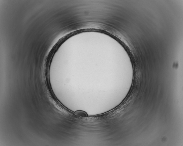 X0000101121116200807241152
