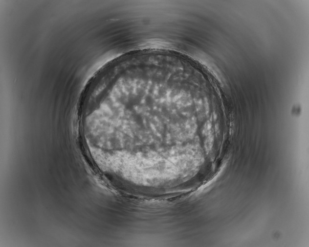 X0000101121117200807241152