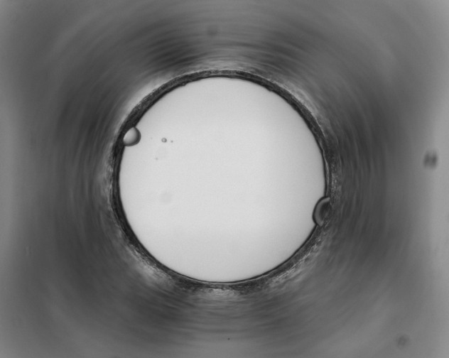 X0000101121119200807241152