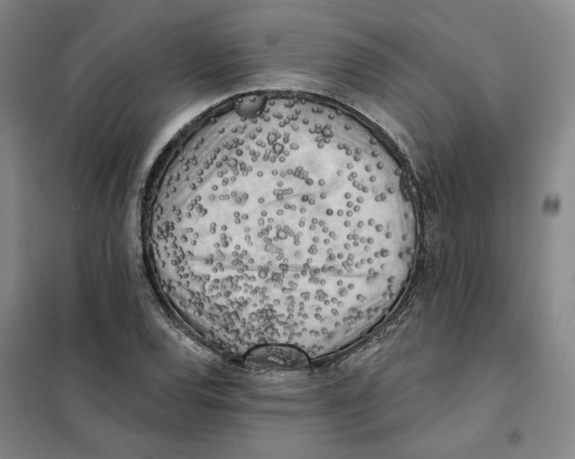 X0000101121120200807241152