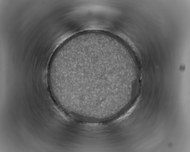 X0000101121121200807241152