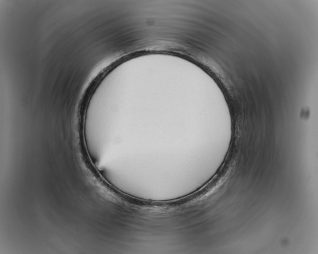 X0000101121122200807241152