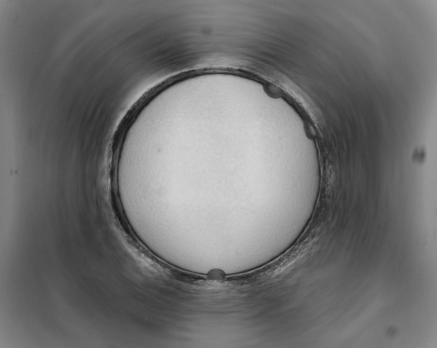 X0000101121124200807241152