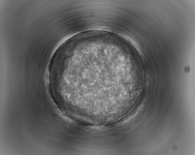 X0000101121125200807241152