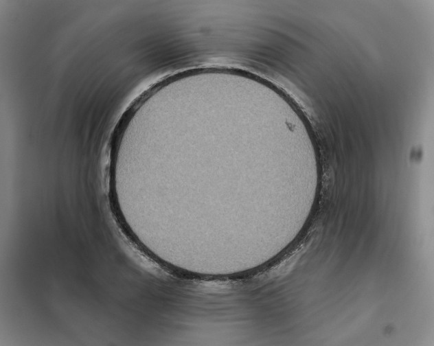 X0000101121126200807241152