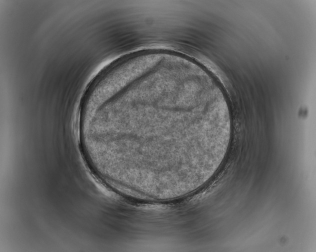 X0000101121127200807241152