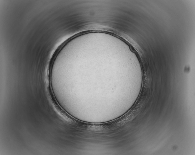 X0000101121128200807241152