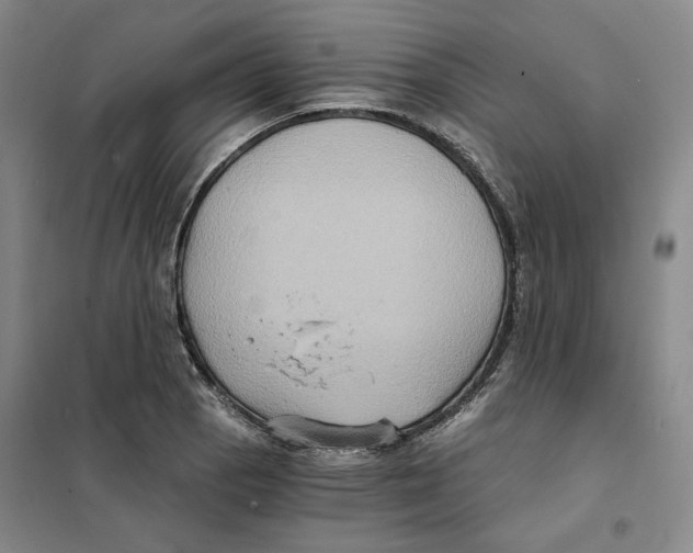 X0000101121129200807241152