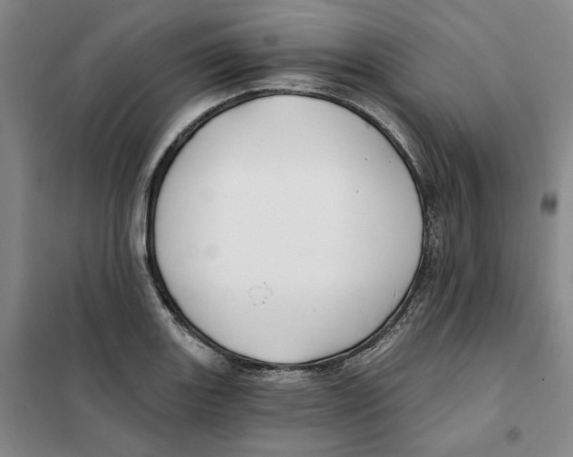 X0000101121131200807241152