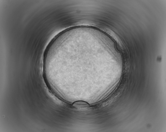 X0000101121132200807241152
