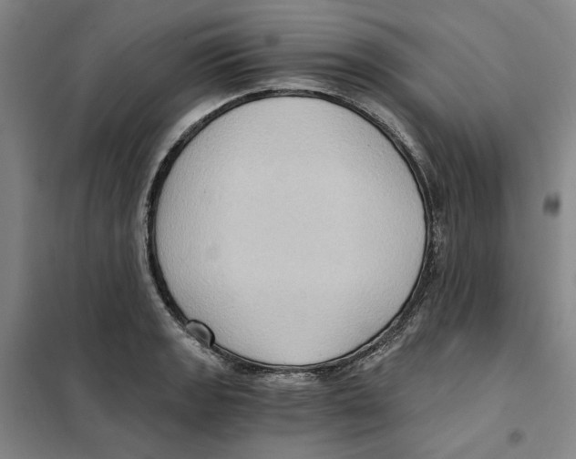 X0000101121133200807241152