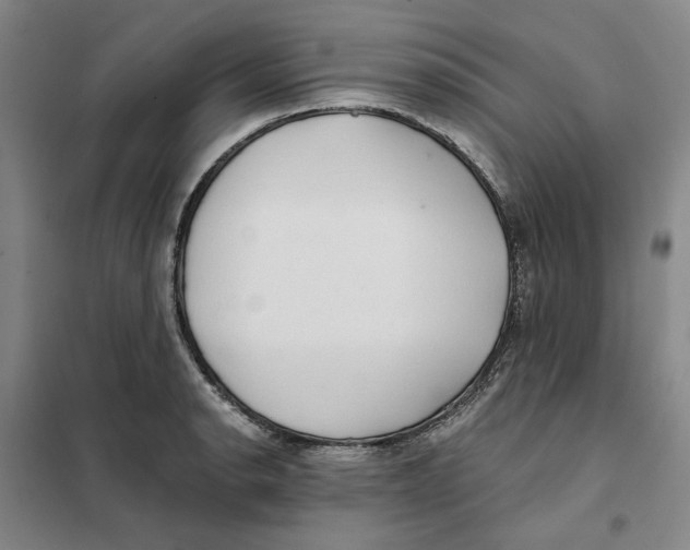 X0000101121134200807241152