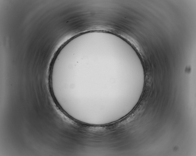 X0000101121135200807241152