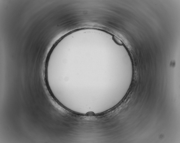 X0000101121136200807241153