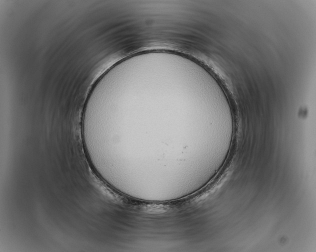 X0000101121137200807241153