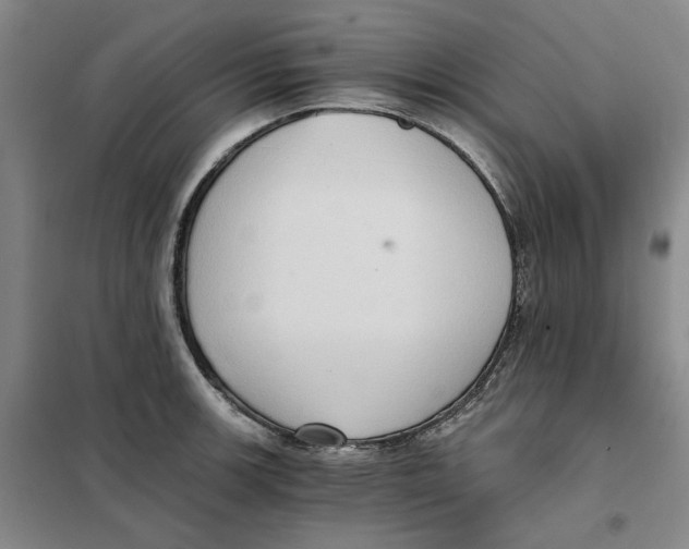 X0000101121139200807241153