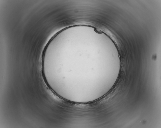 X0000101121140200807241153