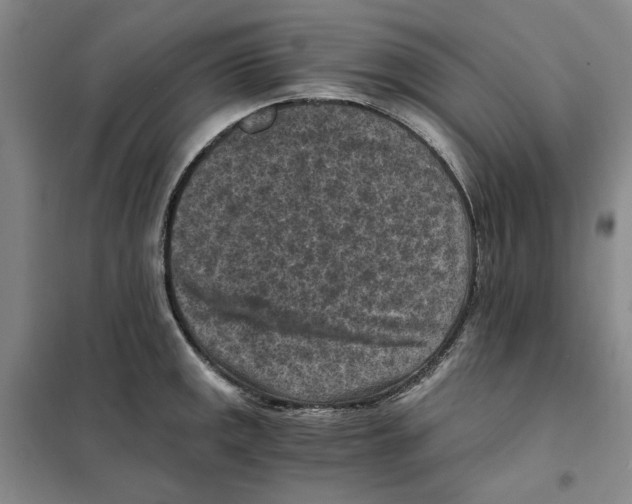 X0000101121141200807241153