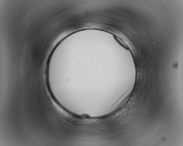 X0000101121143200807241153