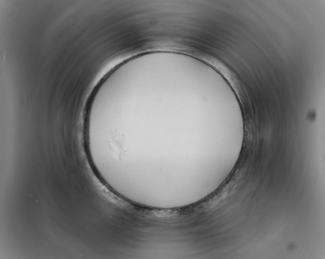 X0000101121147200807241153