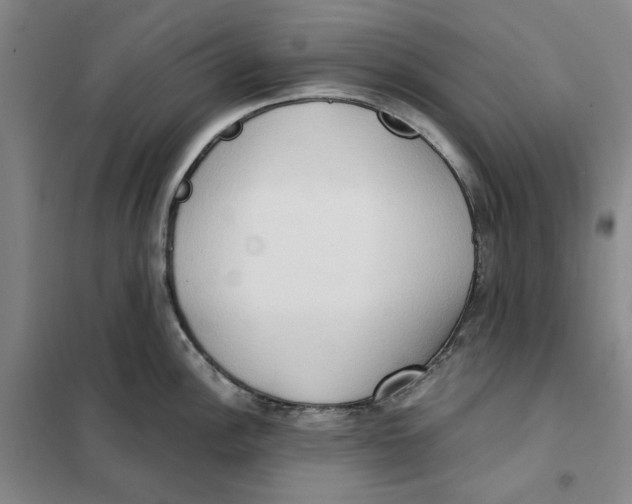 X0000101121148200807241153