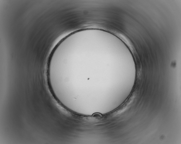X0000101121149200807241153