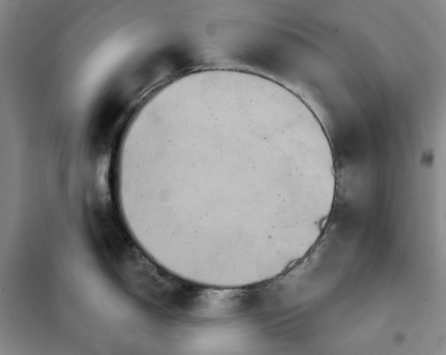 X0000101121150200807241153