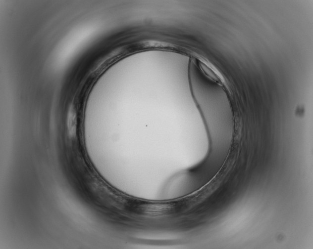 X0000101121151200807241153