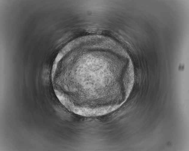 X0000101121154200807241152