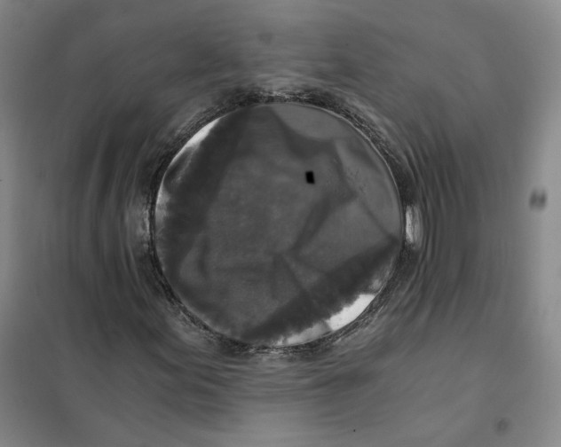 X0000101121155200807241152