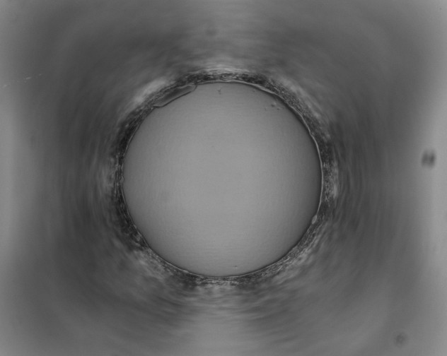 X0000101121157200807241152