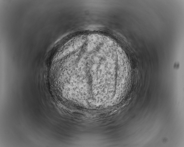 X0000101121158200807241152