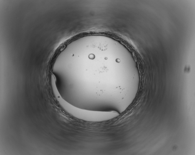 X0000101121160200807241152