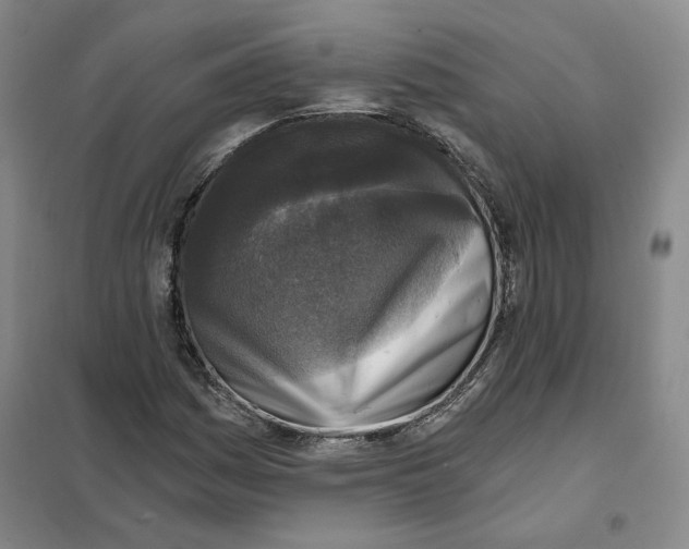 X0000101121161200807241152